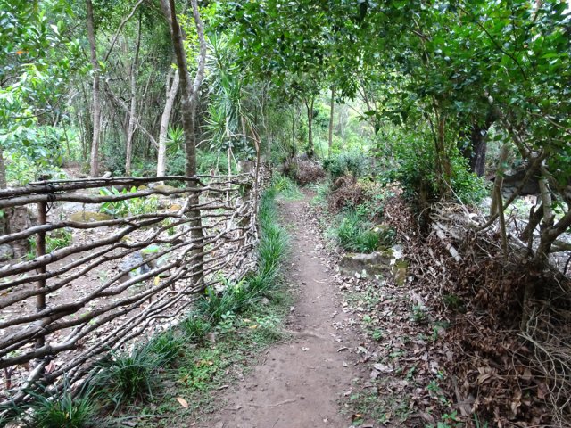 La fin du parcours est bordée d'une case et de lopins cultivés