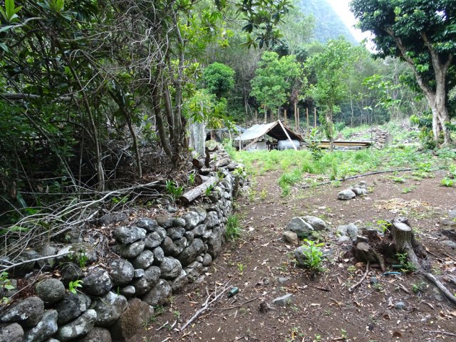 Un autre lopin en cours de nettoyage