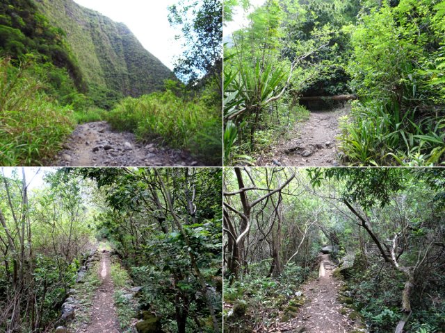 Le sentier de remontée vers le barrage