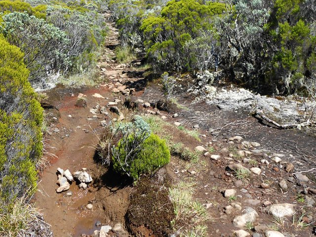 Et toujours des cailloux