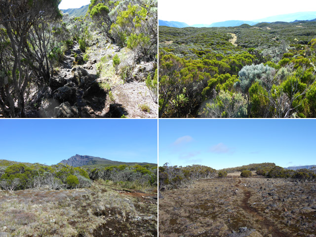 Quelques portions de la traversée du Coteau Kerveguen