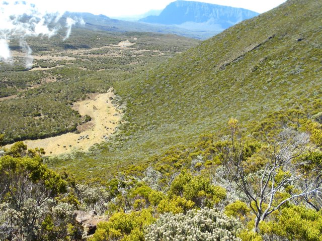 Le Coteau Maigre et les marécages du Plateau Kerveguen