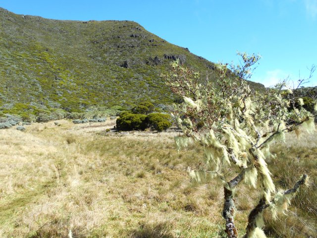 Le sentier dans les herbes avant d'attaquer la montée