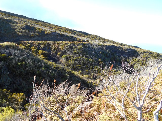 La vallée de la Ravine de Bellevue depuis le début du sentier vers le Petit Bénare