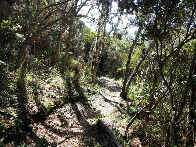 Sentier agréable en sous-bois avec quelques rares montées fortes