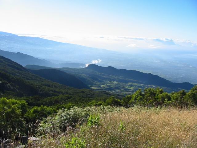 Vue sur la Plaine des Makes et la Chaîne du Bois de Nefles