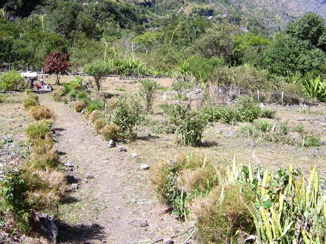 Petite visite au cimetière de Cayenne au retour