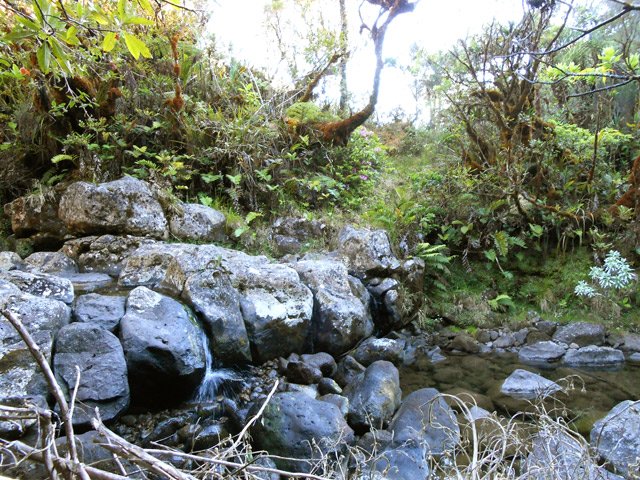 Passage des rochers de la Ravine Biberon