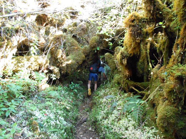 Il faut souvent se pencher