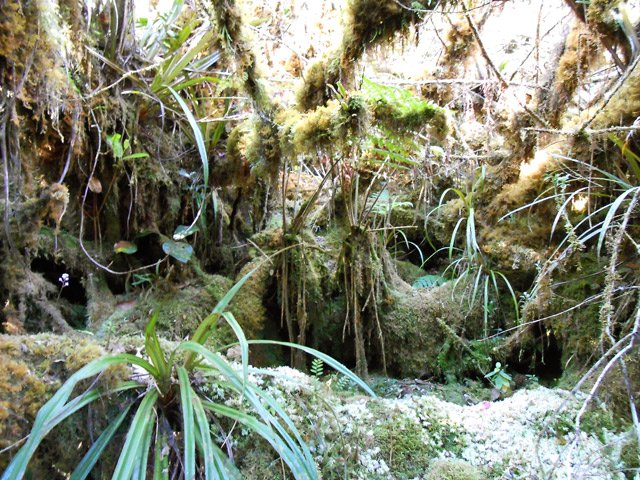 Passage impossible si on sort de la trace