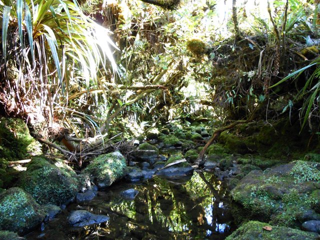 Tout est là pour rincer les chaussures