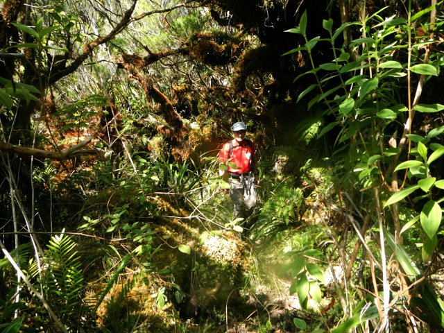 Le sentier braco et canyoning est encore visible mais il faut avoir toujours les yeux au sol