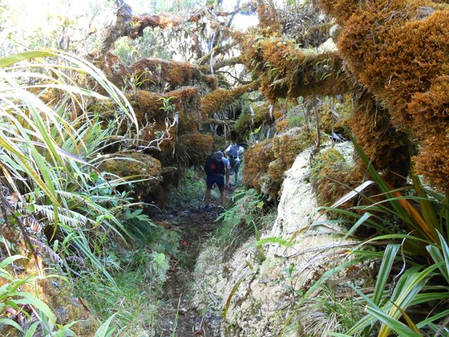 D'autres endroits où il faut se courber