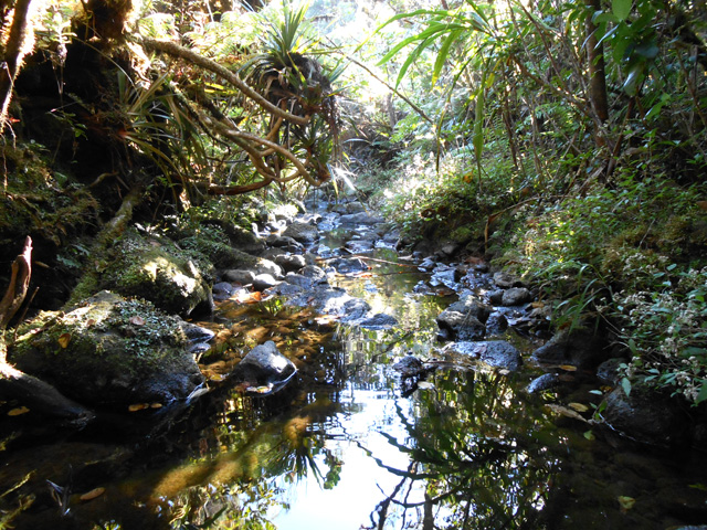 L'arrivée au Second Bras d'Annette