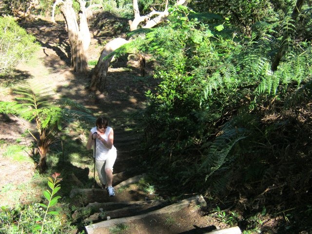Très peu de montées ou avec escaliers