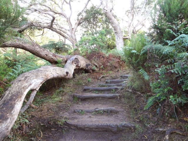 Un autre qui a plus de mal à survivre