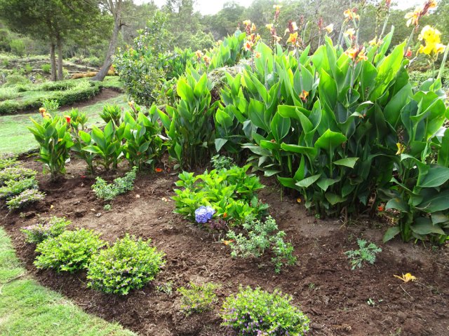 Quelques touffes de fleurs égayent le départ du parcours santé