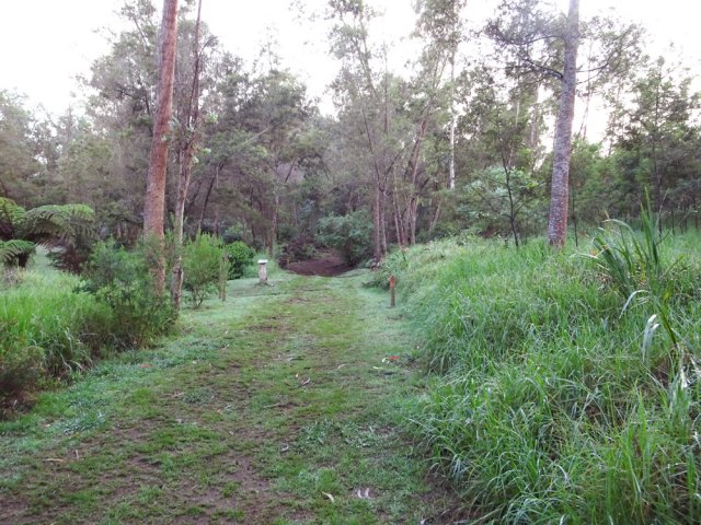 Courte portion herbeuse