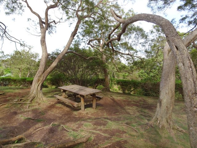 Une zone de pique-nique proche de la route
