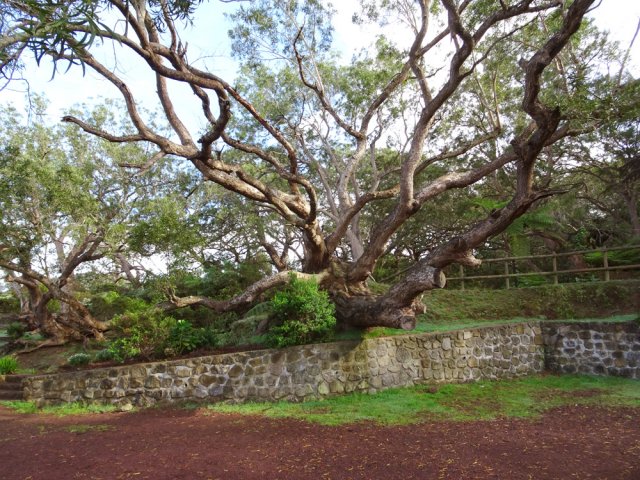 Fin de la boucle sur le deuxième parking