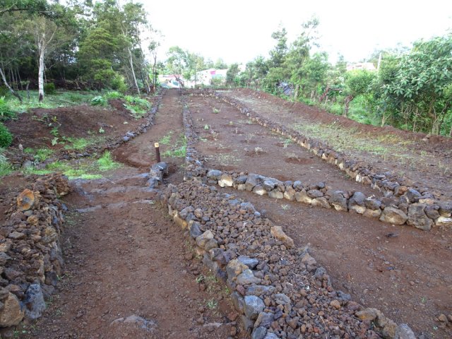 Murets récemment aménagées avec très jeunes plantations