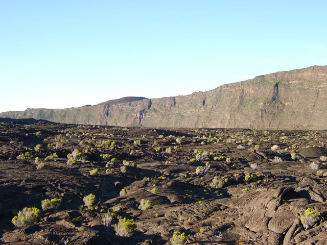Encore un siècle avant l'arrivée d'une vraie végétation