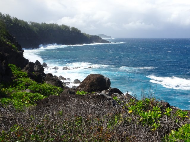 Point de vue sur le Piton de Grande Anse
