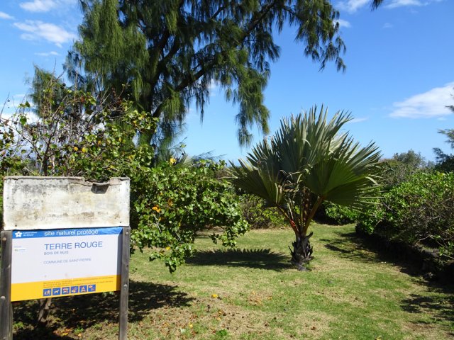 Le circuit emprunte le sentier Bois de Buis