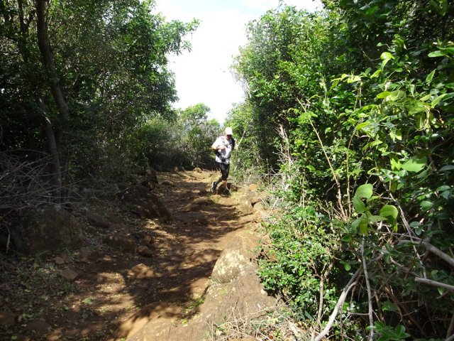 Le sentier, large et terreux, remonte vers la route
