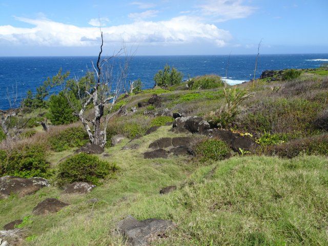 La paysage quasi désertique proche des habitations