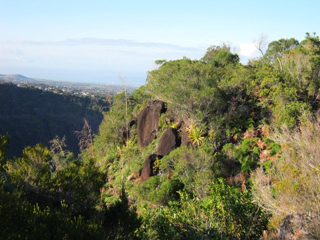 Quelques zones rocheuses dépassent de la végétation