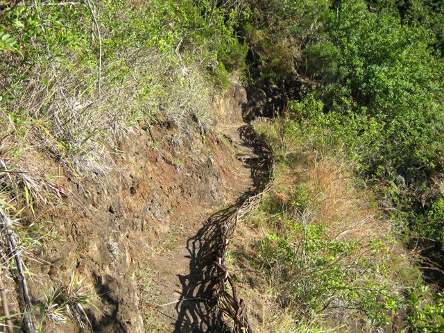 Une autre courte portion soutenue de fascines