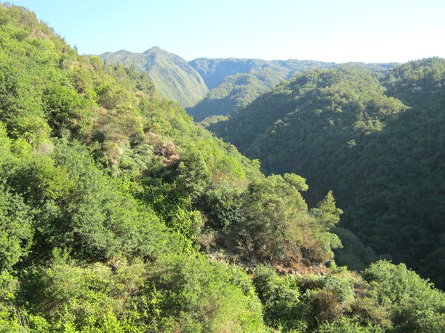 On voit bien le sentier qui descend doucement vers la ravine