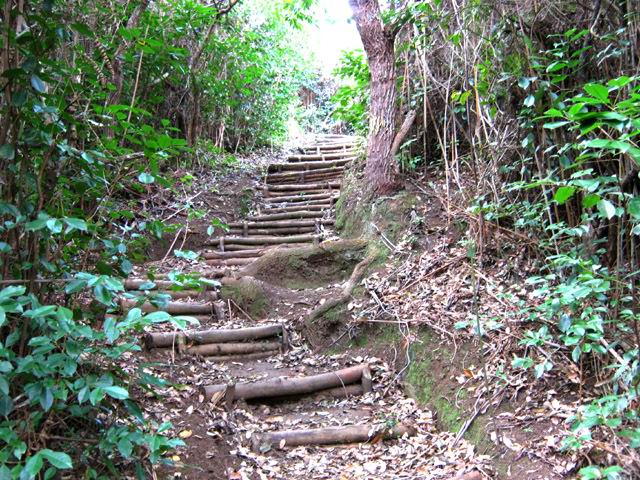 Une partie du Sentier Le Doyen