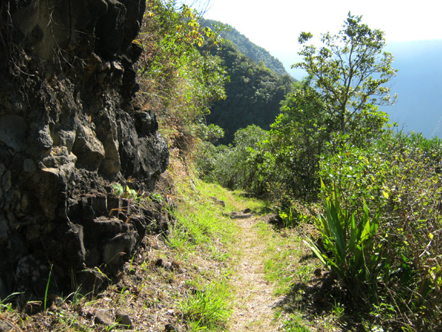 Une idée du sentier qui longe le rempart du Bras de la Plaine
