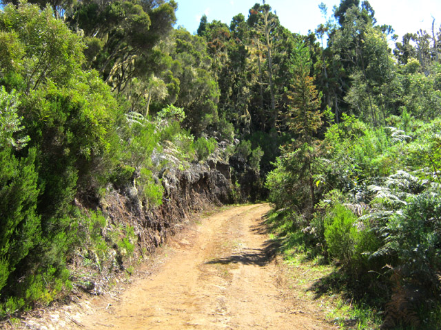 Souvent, les sentiers se transforment pour un temps en piste 4x4