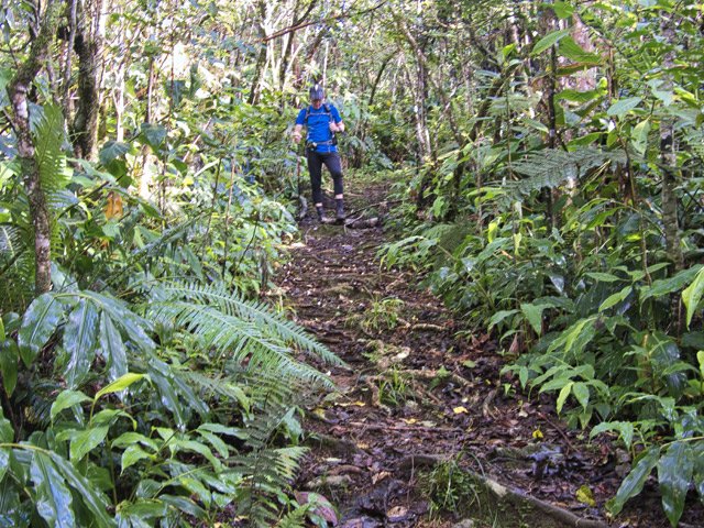Dans l'ensemble le sentier est large et propre