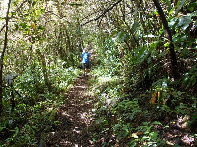 Quelques portions plates et ombragées permettent une marche de repos