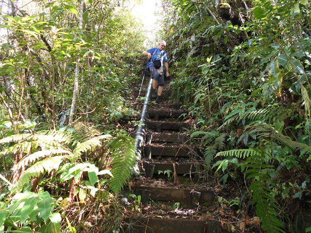 Les tuyaux sont omniprésents, quels que soient les sentiers utilisés