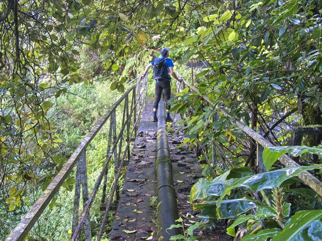 La passerelle vermoulue. Prudence. Marcher sur deux planches en même temps