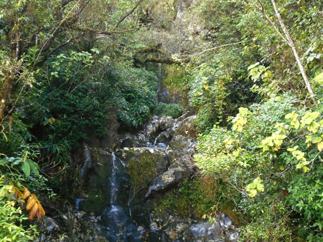 Les petites cascades de la source en amont de la passerelle