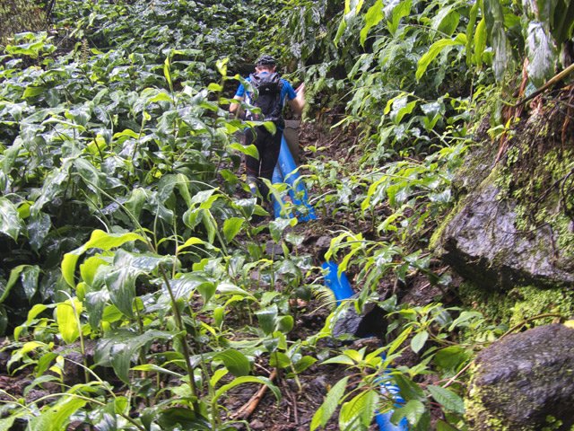 Le sentier étroit reste toujours visible malgré les longoses