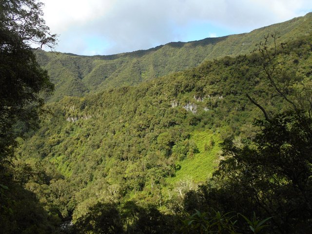 Les flancs escarpés de la Ravine de Bellevue vers la Petite Terre