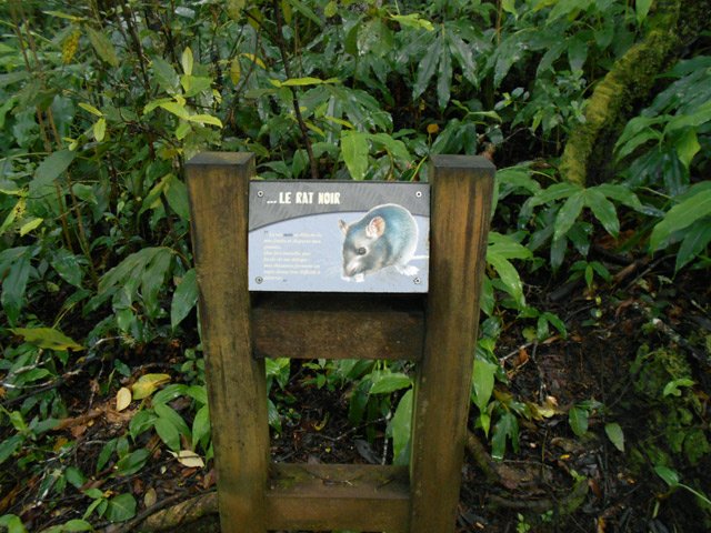 De même pour les petits panneaux et triptyques ludiques