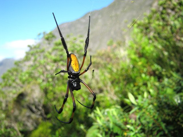 Le premier qui passe la prend en général en plein visage