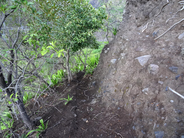Quelques rares portions à flanc de falaise