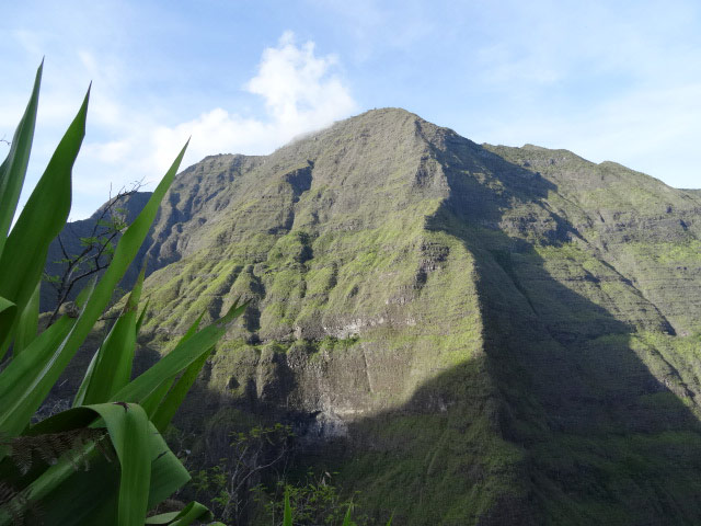 Le Piton vers l'Îlet Alcide qui domine la Rivière des Galets