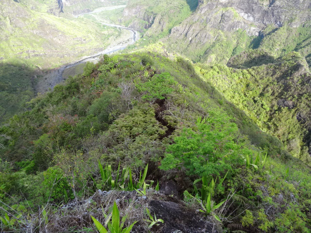 Le sentier bien défriché dans les fougères avec vue sur Deux Bras
