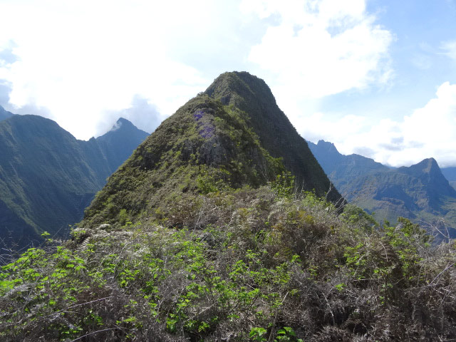 La végétation ne peut plus grandir à ces altitudes sur des sols aussi pauvres