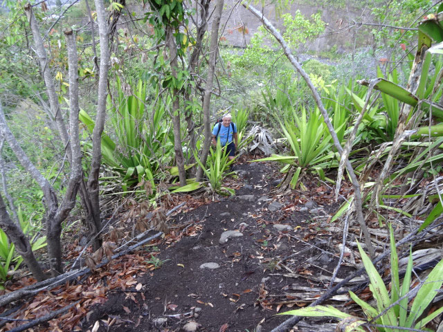 Début de la montée sur un sentier très facile à suivre